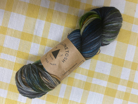 Madelinetosh DK Future ex husband
