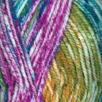 Plymouth Encore Colorspun - 7203
