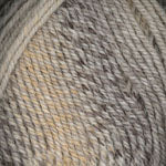 Plymouth Encore Colorspun - 7596